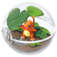 [Re-Ment] Pokemon Terrarium Collection 3