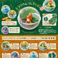 [Re-Ment] Pokemon Terrarium Collection 3